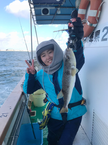 ショウサイフグの釣果