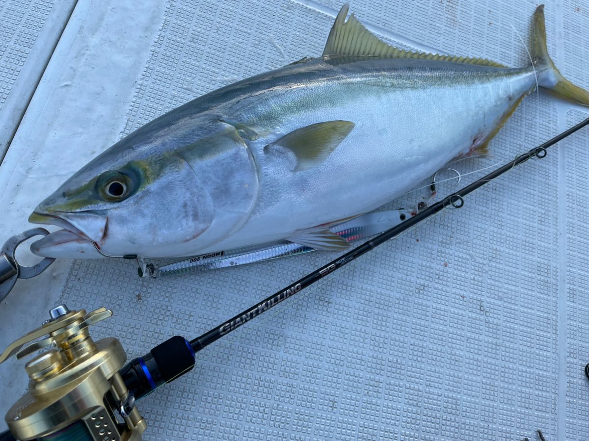 カワテツさんの釣果 3枚目の画像