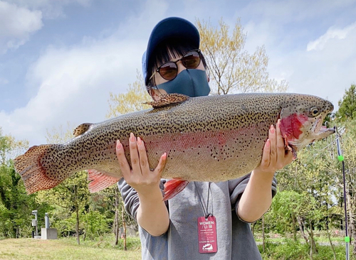 トラウトの釣果