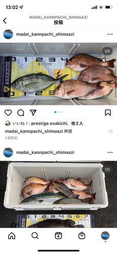 シマアジの釣果