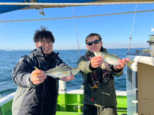 マアジの釣果