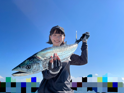 サワラの釣果