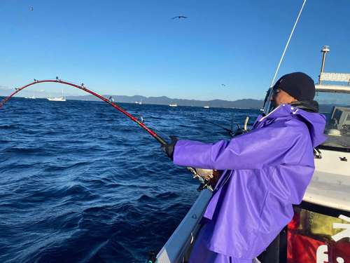 キハダマグロの釣果