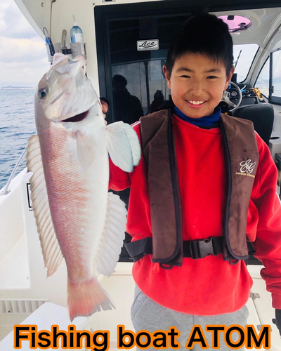 シロアマダイの釣果