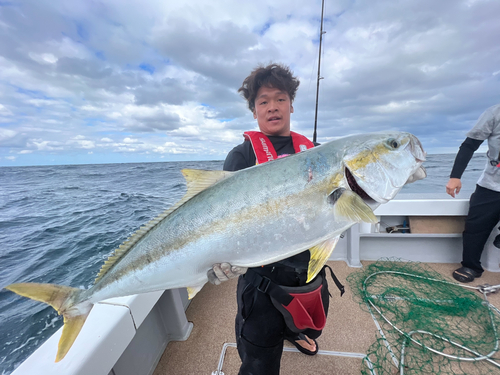 ヒラマサの釣果