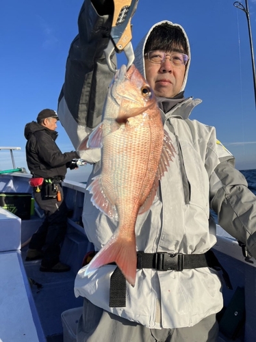 マダイの釣果