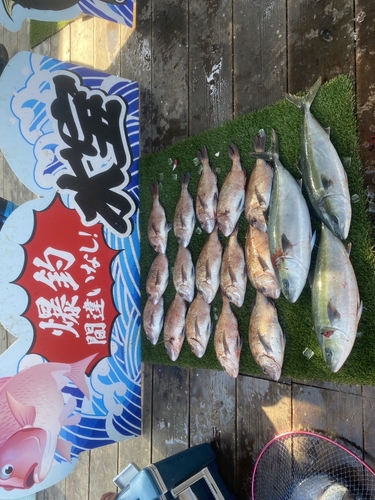 タイの釣果