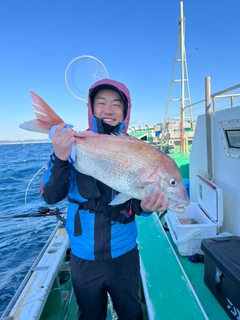 マダイの釣果