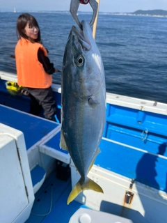 イナダの釣果