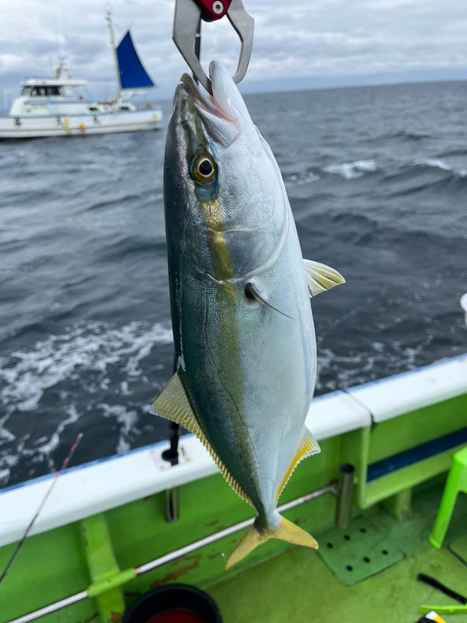 なりたなおとさんの釣果 2枚目の画像