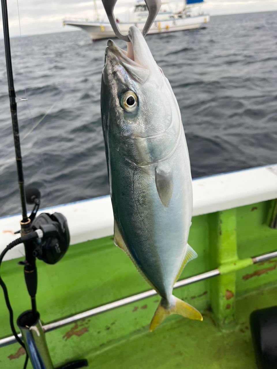 なりたなおとさんの釣果 3枚目の画像