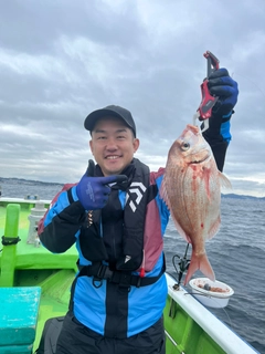 キダイの釣果