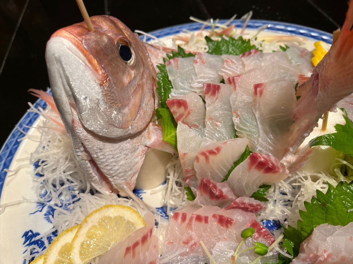 なりたなおとさんの釣果 3枚目の画像