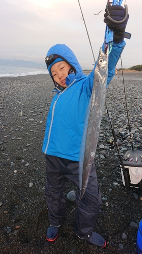 タチウオの釣果