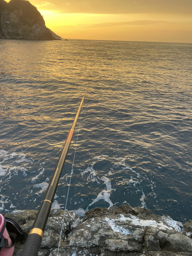 タイの釣果