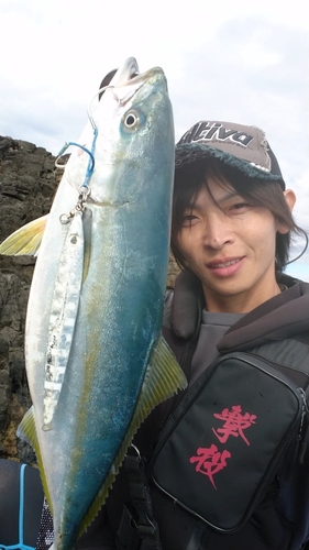 イナダの釣果