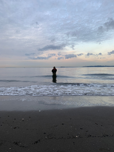 シタビラメの釣果