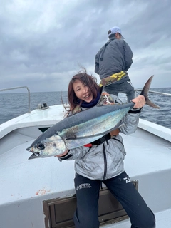 ビンチョウマグロの釣果