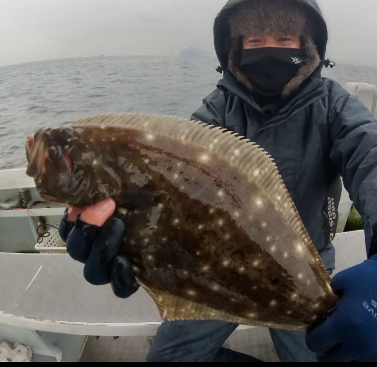 ちためっつさんの釣果 1枚目の画像