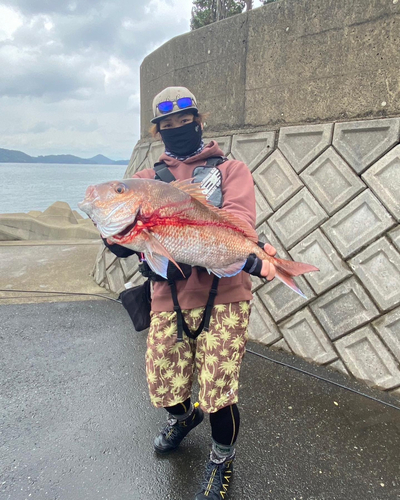 タイの釣果