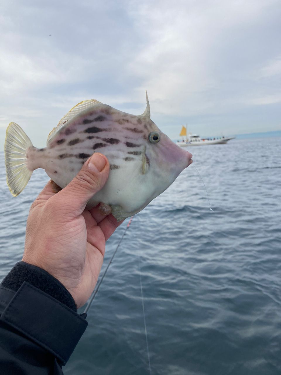 ごりっぱさんの釣果 3枚目の画像