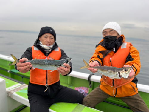 マアジの釣果