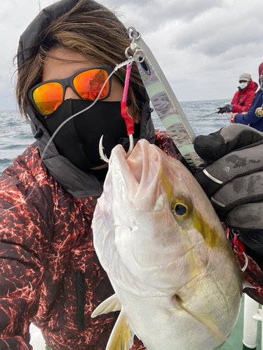 シオの釣果