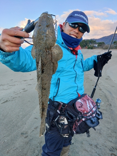 マゴチの釣果