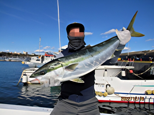 ワラサの釣果