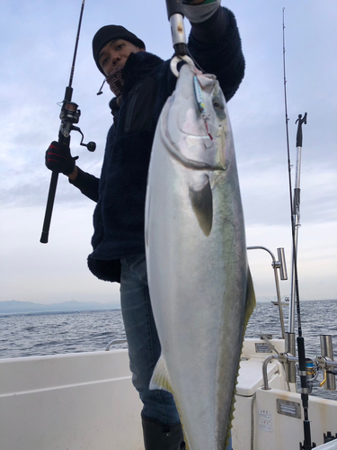 ブリの釣果