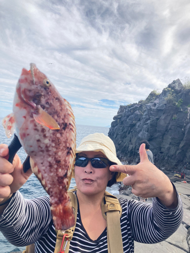 ブダイの釣果