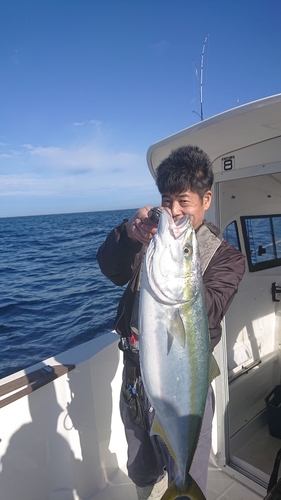 ヤズの釣果