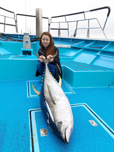 キハダマグロの釣果