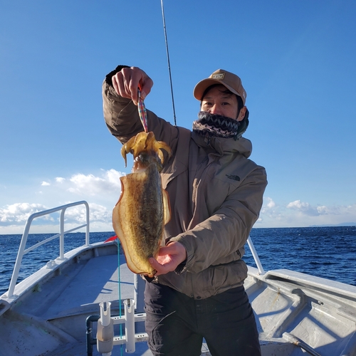 モンゴウイカの釣果