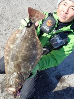 ヒラメの釣果