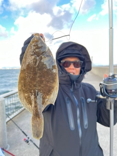 カレイの釣果