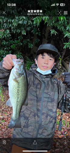 ブラックバスの釣果