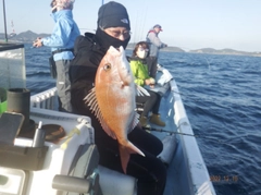 タイの釣果