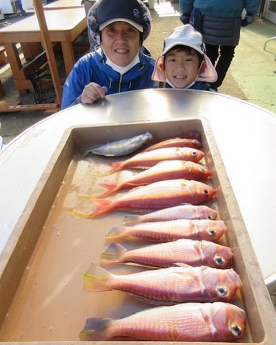 アマダイの釣果