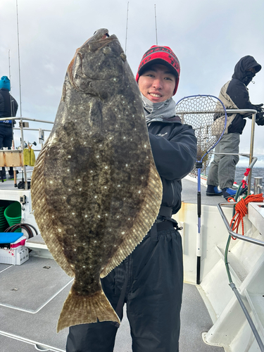 イナダの釣果