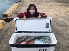 マトウダイの釣果