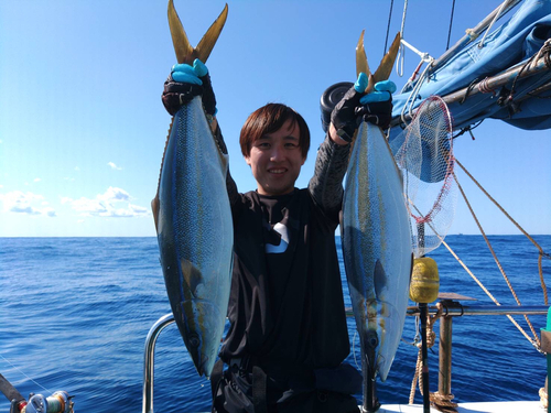 ツムブリの釣果