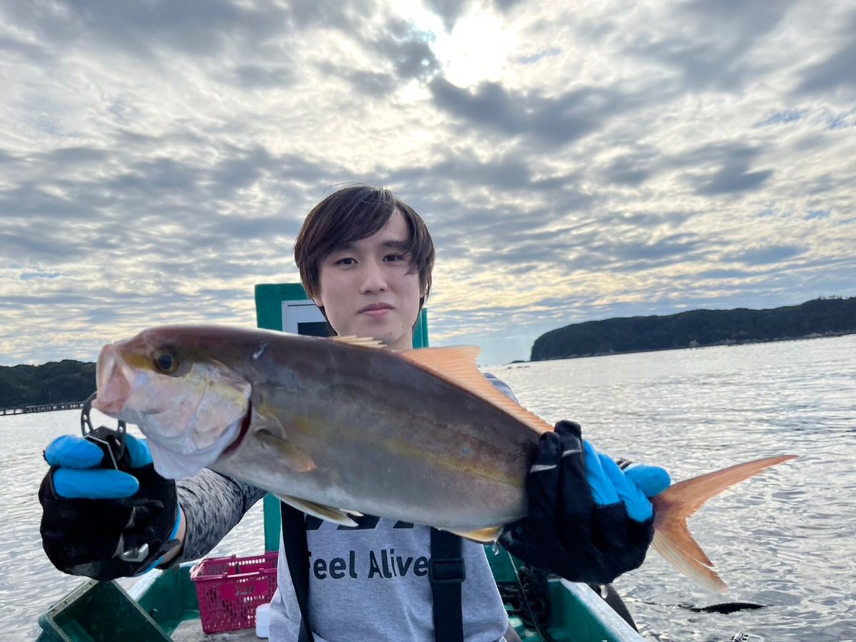 Dの男さんの釣果 3枚目の画像