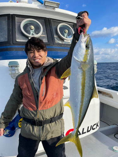 ヒラマサの釣果