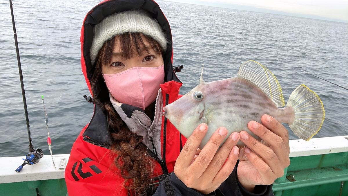 釣り師こしっちゃんさんの釣果 2枚目の画像