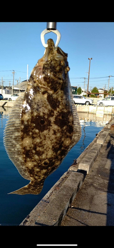 釣果