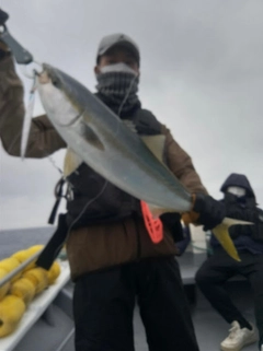 ワラサの釣果