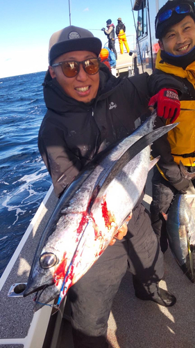 ビンチョウマグロの釣果