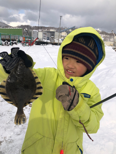 カワガレイの釣果