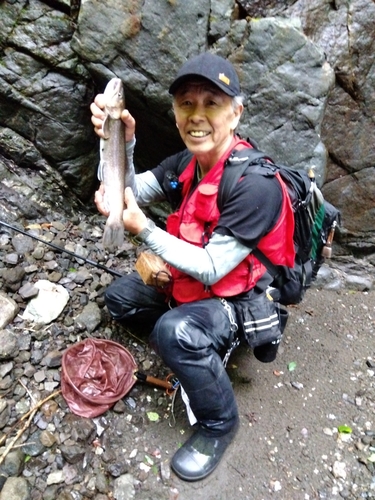 イワナの釣果